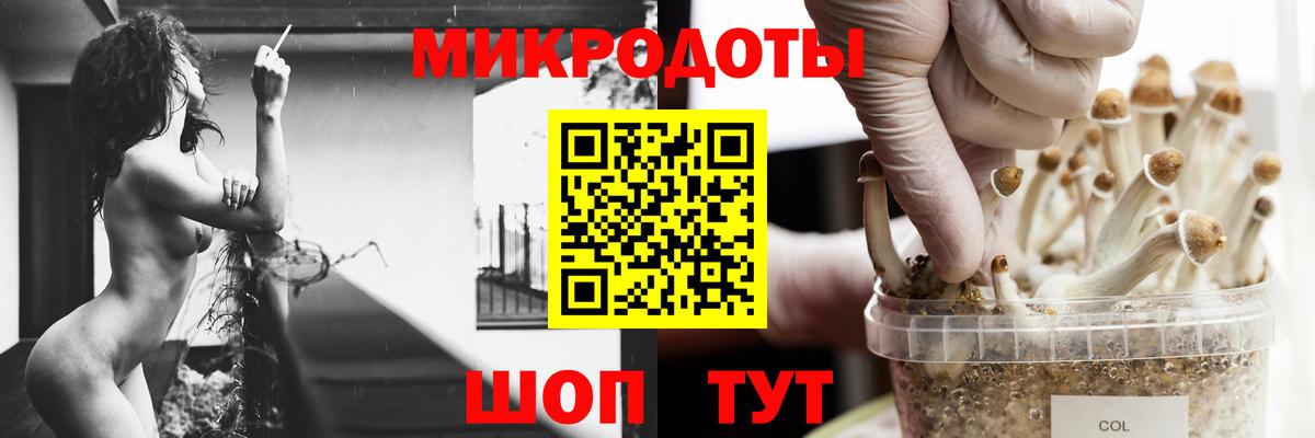 Псилоцибиновые грибы ЛСД Великий Устюг